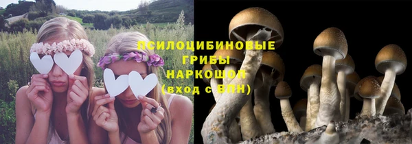 ALPHA-PVP Покровск