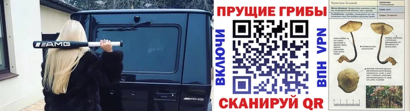 кракен сайт Хабаровск Псилоцибиновые грибы MAGIC MUSHROOMS