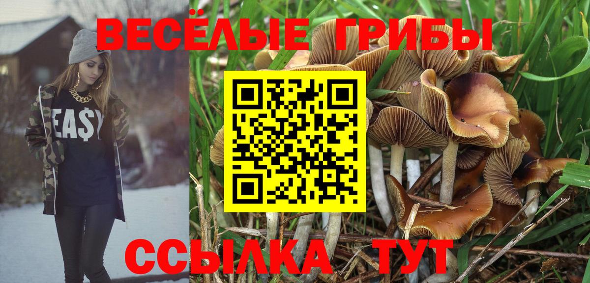 где можно купить наркотик  Вход с VPN  Хабаровск  Псилоцибиновые грибы мицелий 