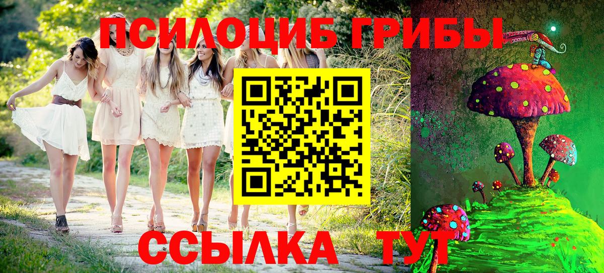 Псилоцибиновые грибы Magic Shrooms  Галлюциногенные грибы GOLDEN TEACHER  Хабаровск 